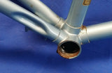 Raleigh Impulse Bicycle 21" Frame with Fork