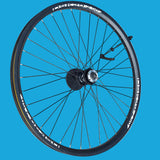 DSK Rear Bicycle Rim Wheel 29inch x 2.5 for Disc Brake 9 Speed Cassette
