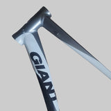 Giant Rapid SL 20-Inch Aluminium Bicycle Frame Black/Silver 700C