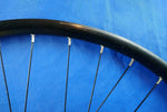 D2O Front Bicycle Rim Wheel 29 inch Disc Brake QR