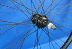 D2O Bicycle Rear Rim Wheel 26 inch x 1.75 (559 x 20), 36 Spokes